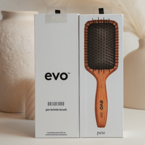 Pete Ionic Paddle Brush